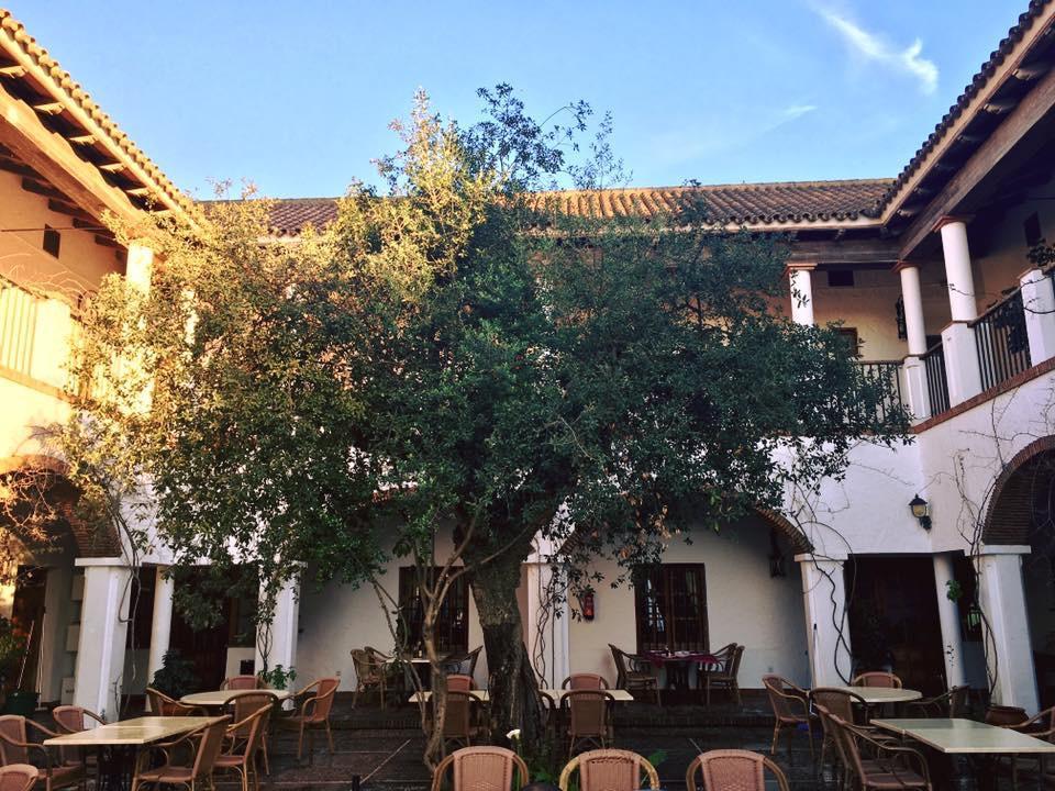 Hotel Cortijo Las Grullas Benalup-Casas Viejas ภายนอก รูปภาพ